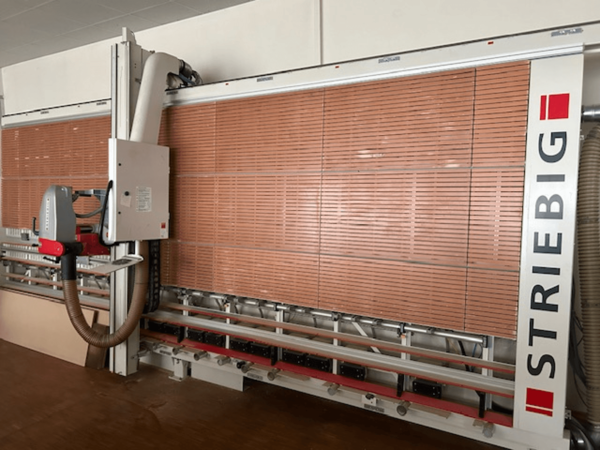 Striebig vertical panel saw in side view, featuring a motorized head, wood panel cutting blades, and dust extraction system.